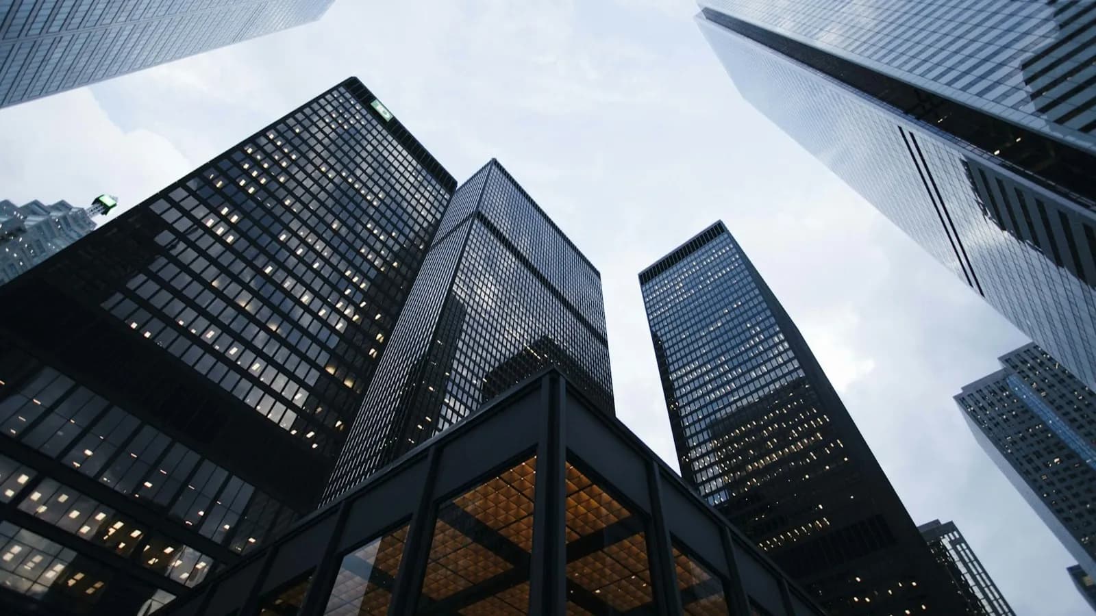 London School of International Business and Management