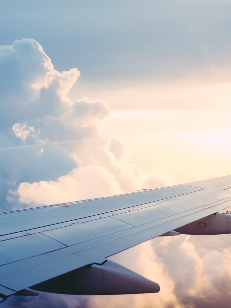 LSTITM — Browse tourism and international travel management programmes