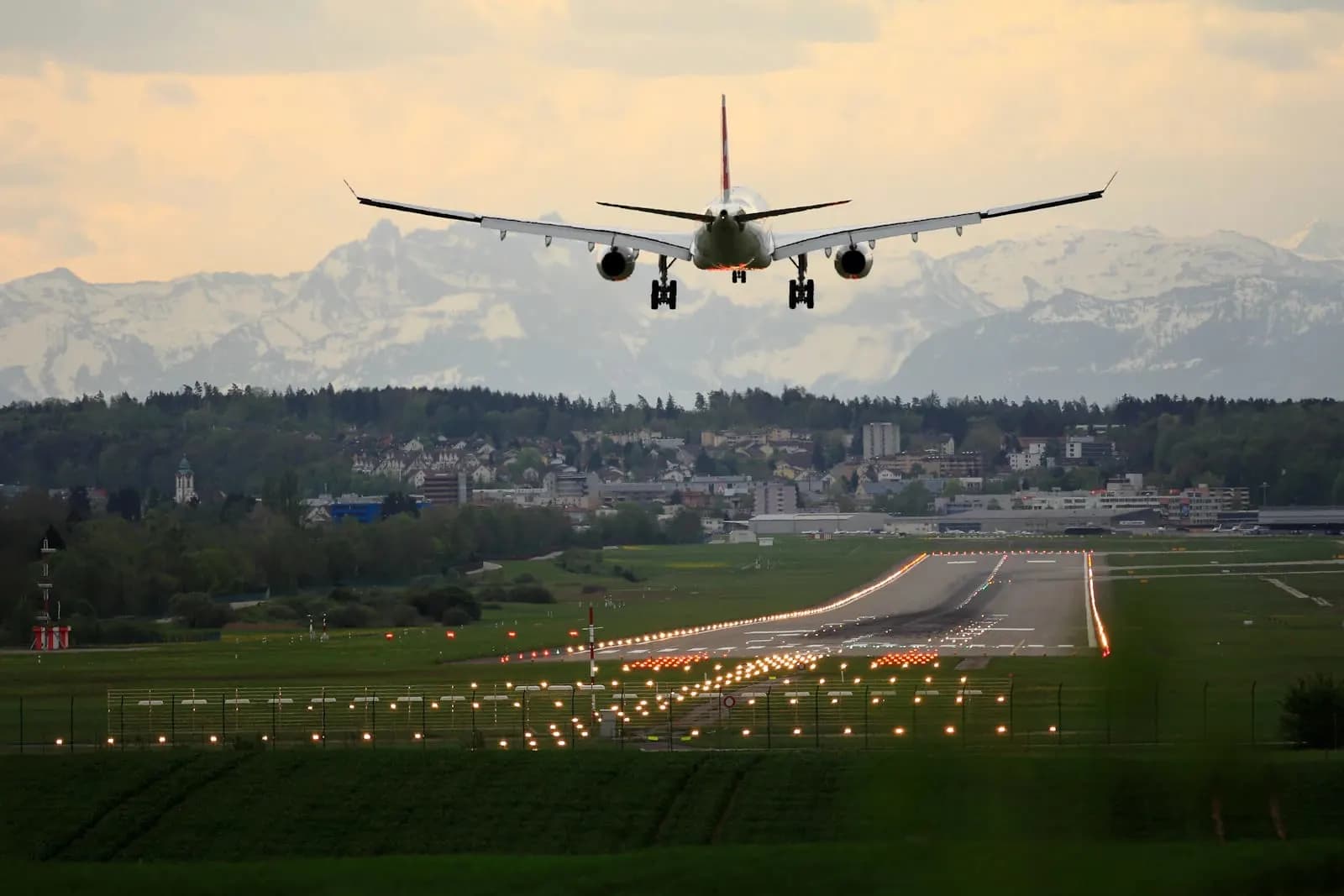 Bachelor of Public Policy — Bachelor at London Online University