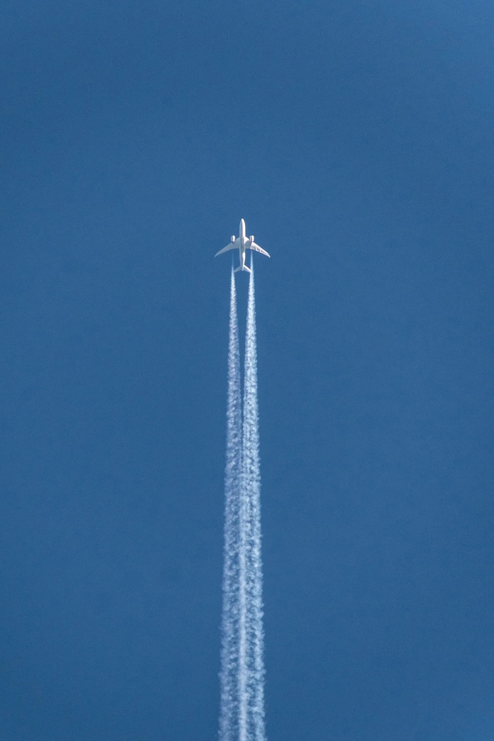 Certificate in Aviation Ground Services Basics — Certificate at London School of Aviation & Airport Management