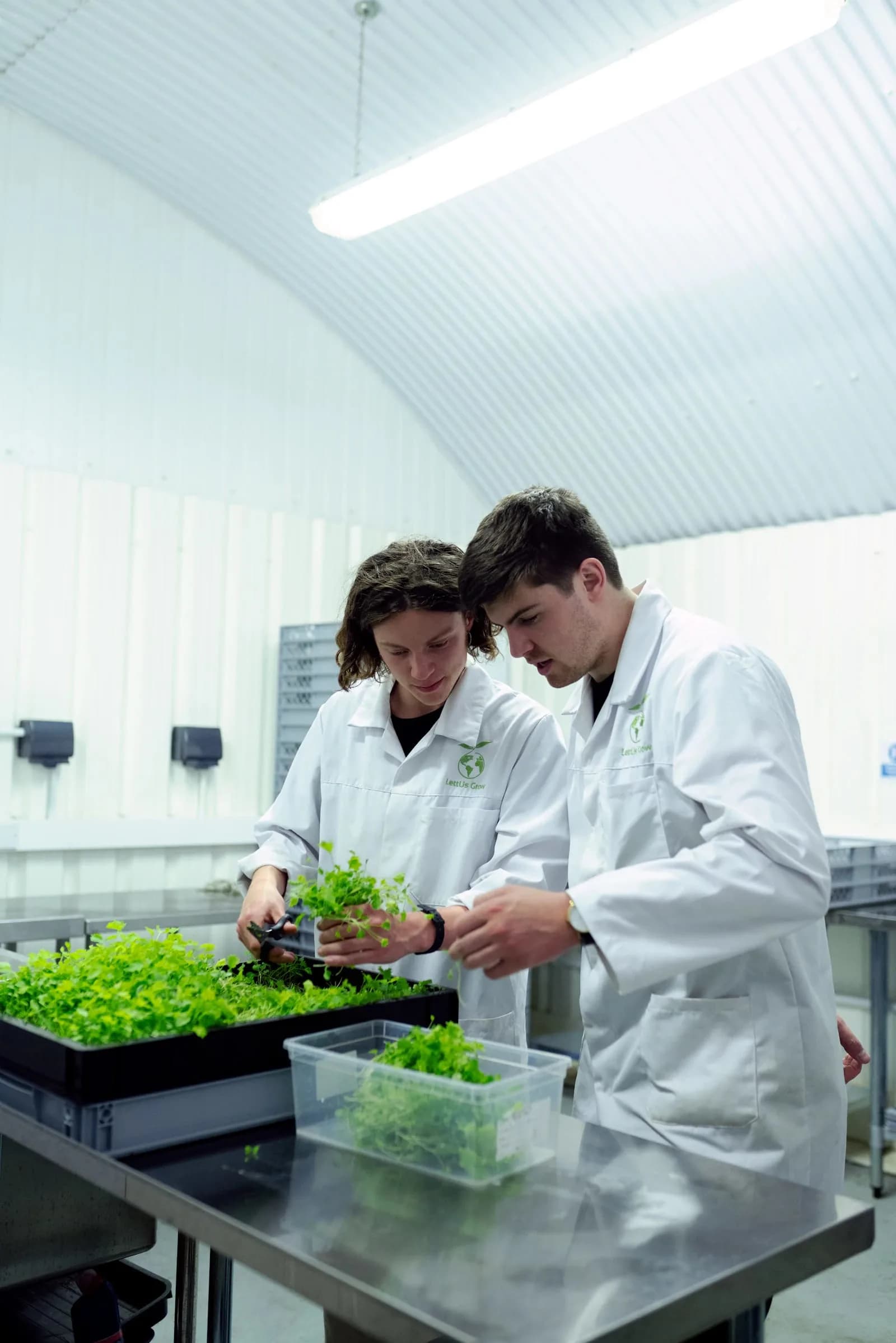 MA in Hospitality Communication and Branding — Master at London School of Culinary Arts and Hospitality Management