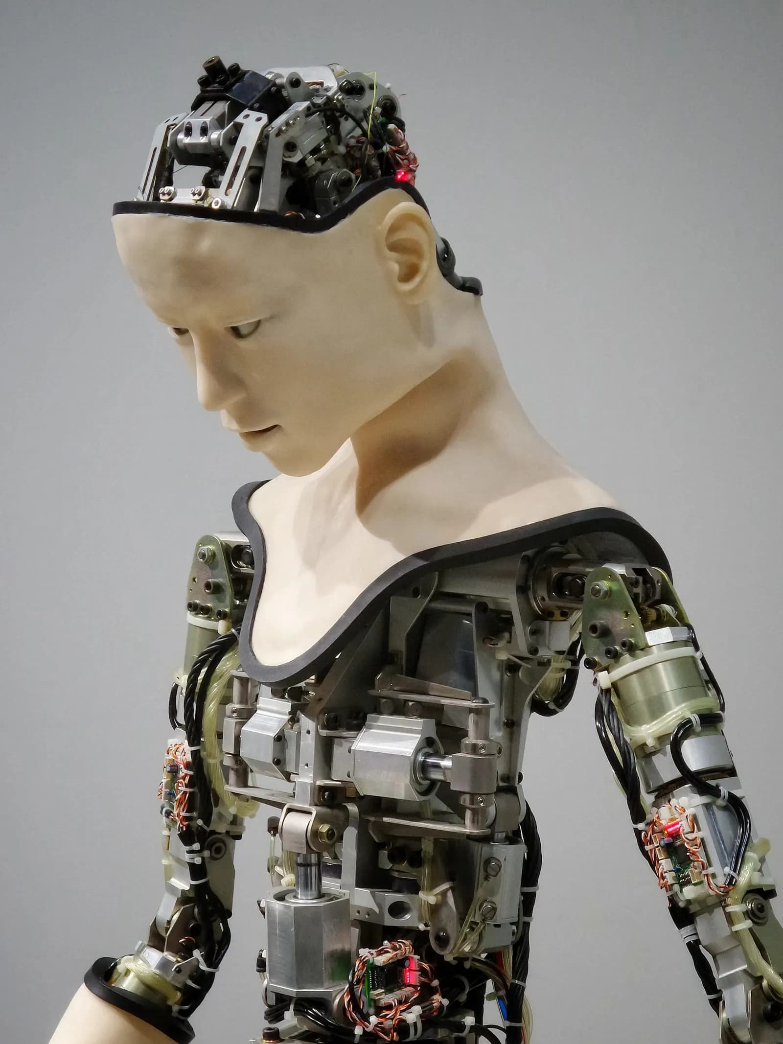 BSc in Machine Learning — Bachelor at London School of Computing and Engineering