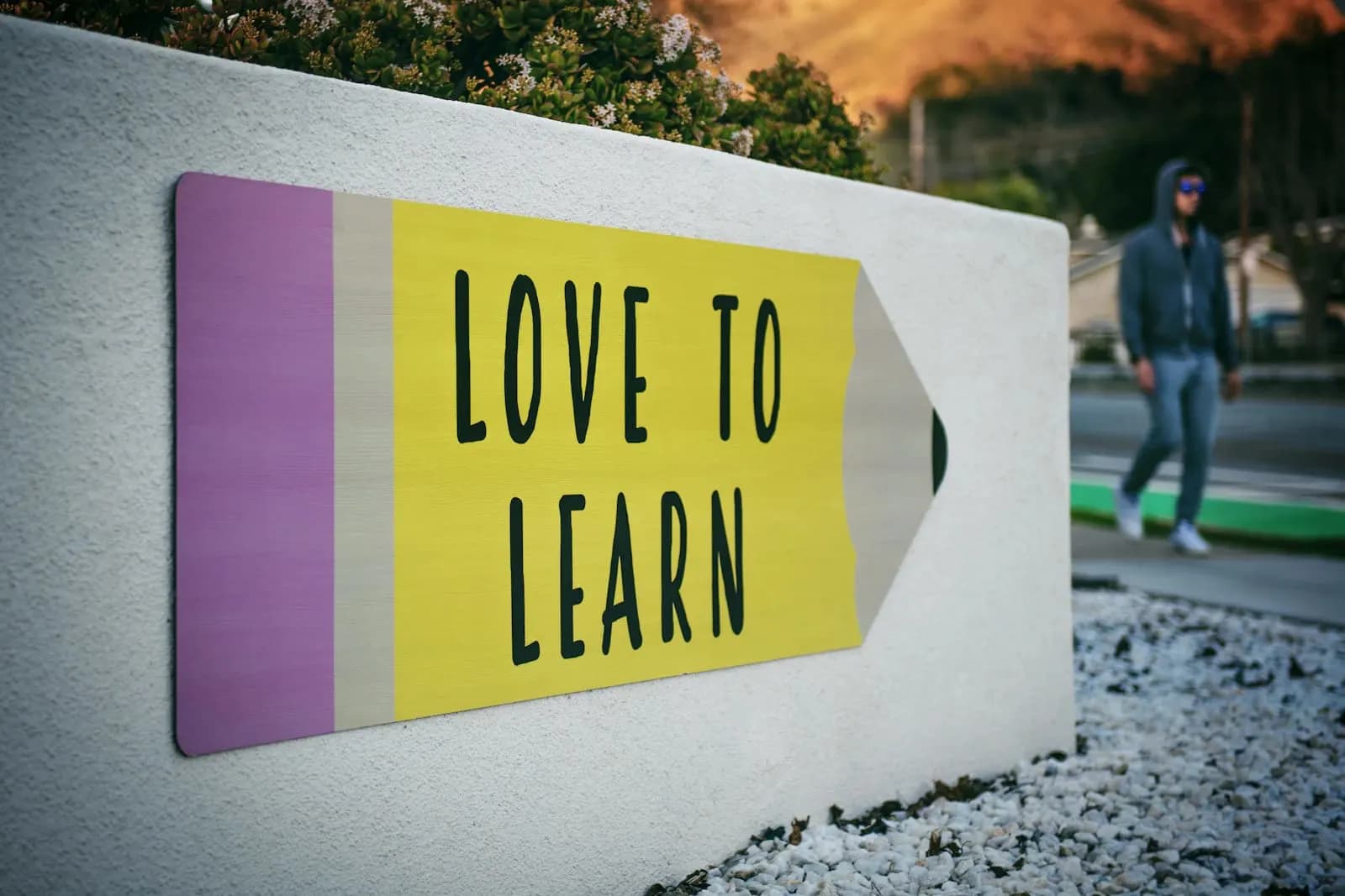 BA in Educational Leadership — Bachelor at London School of Commerce and Technology