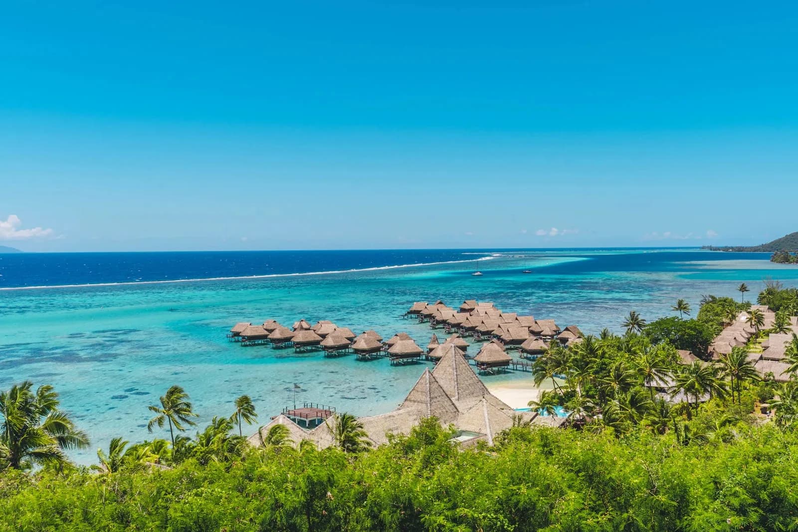 Advanced Diploma in Resort Operations Strategy — Advanced Diploma at London School of Hotel and Resort Management