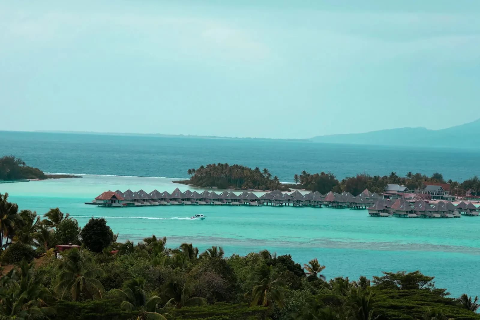 Advanced Diploma in Tourism and Resort Strategy — Advanced Diploma at London School of Hotel and Resort Management