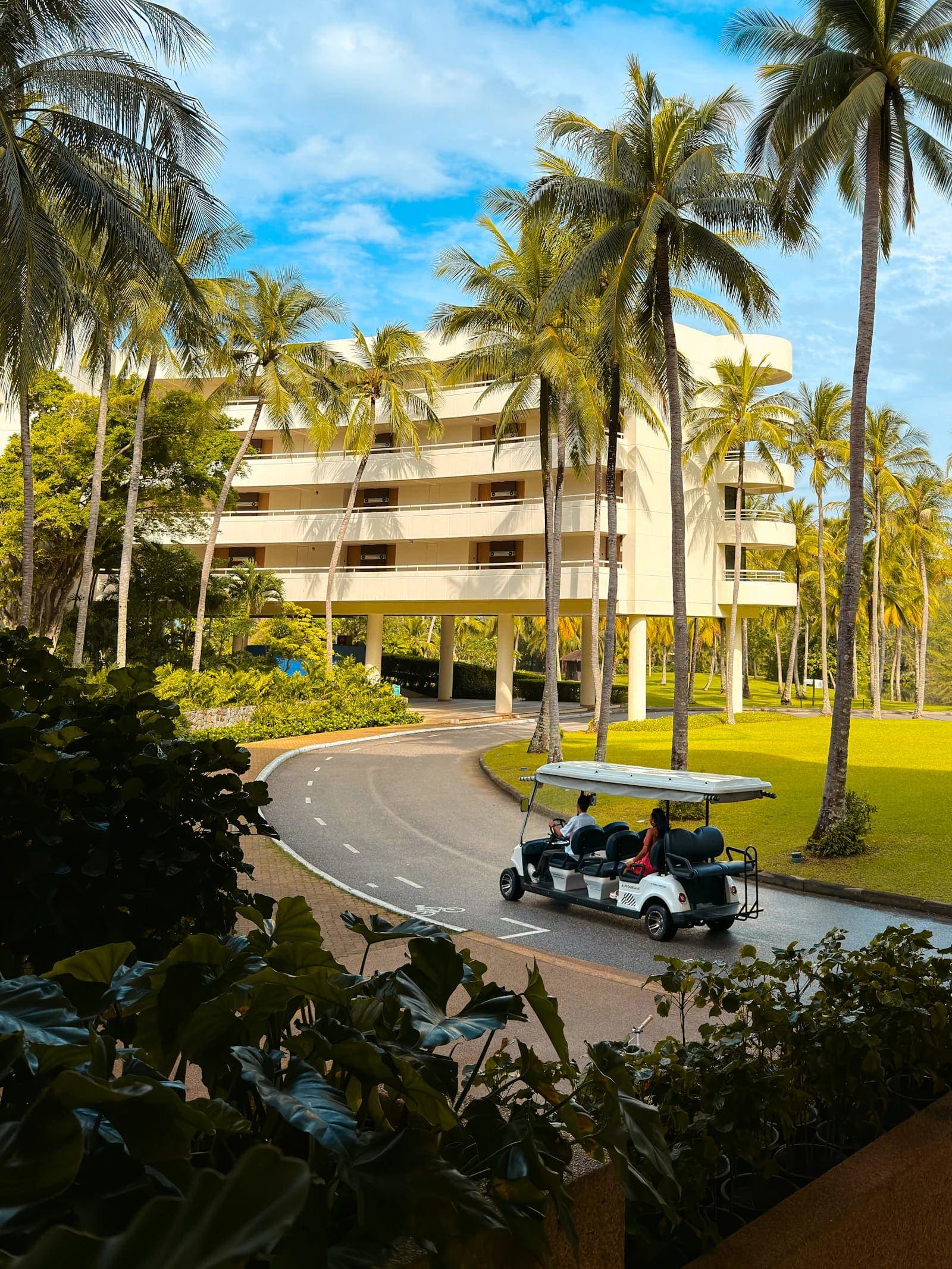 BA in Eco Hospitality Systems — Bachelor at London School of Hotel and Resort Management