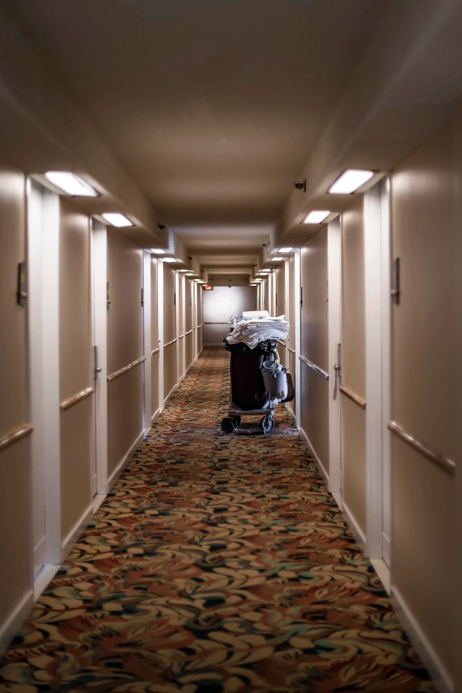 Certificate in Introduction to Property Care — Certificate at London School of Hotel and Resort Management