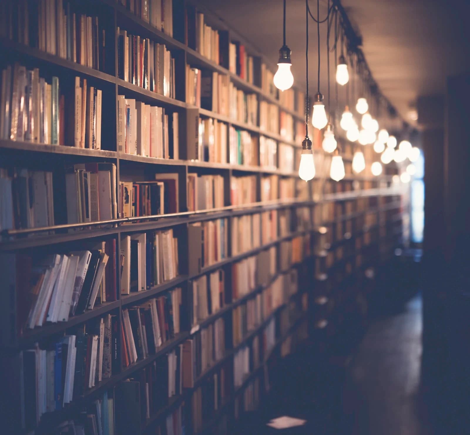 Certificate in Humanities — Certificate at London School of Journalism, Humanities and Modern Languages