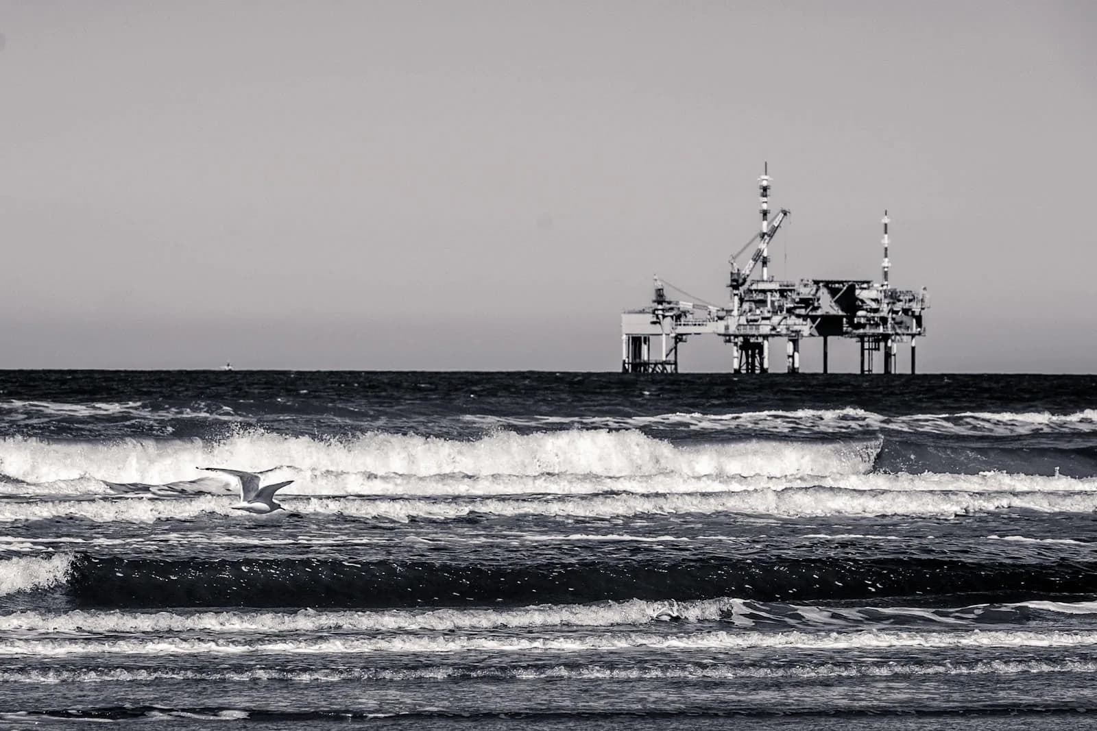 Bachelor of Energy Transformation Studies — Bachelor at London School of Oil and Gas Management
