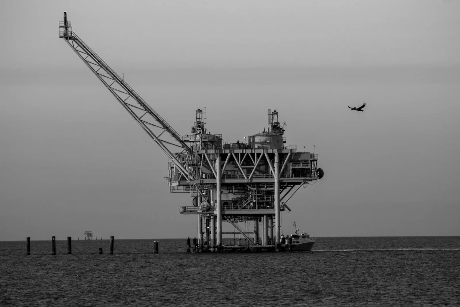 Bachelor of Integrated Petroleum Engineering — Bachelor at London School of Oil and Gas Management