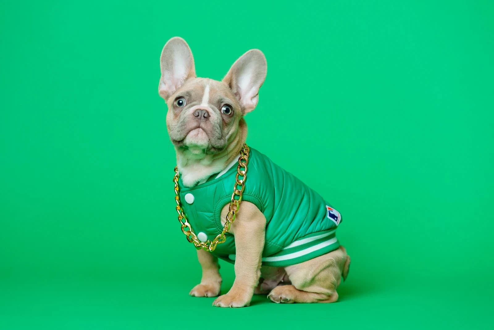Master of Oil and Gas Strategic Management — Master at London School of Oil and Gas Management
