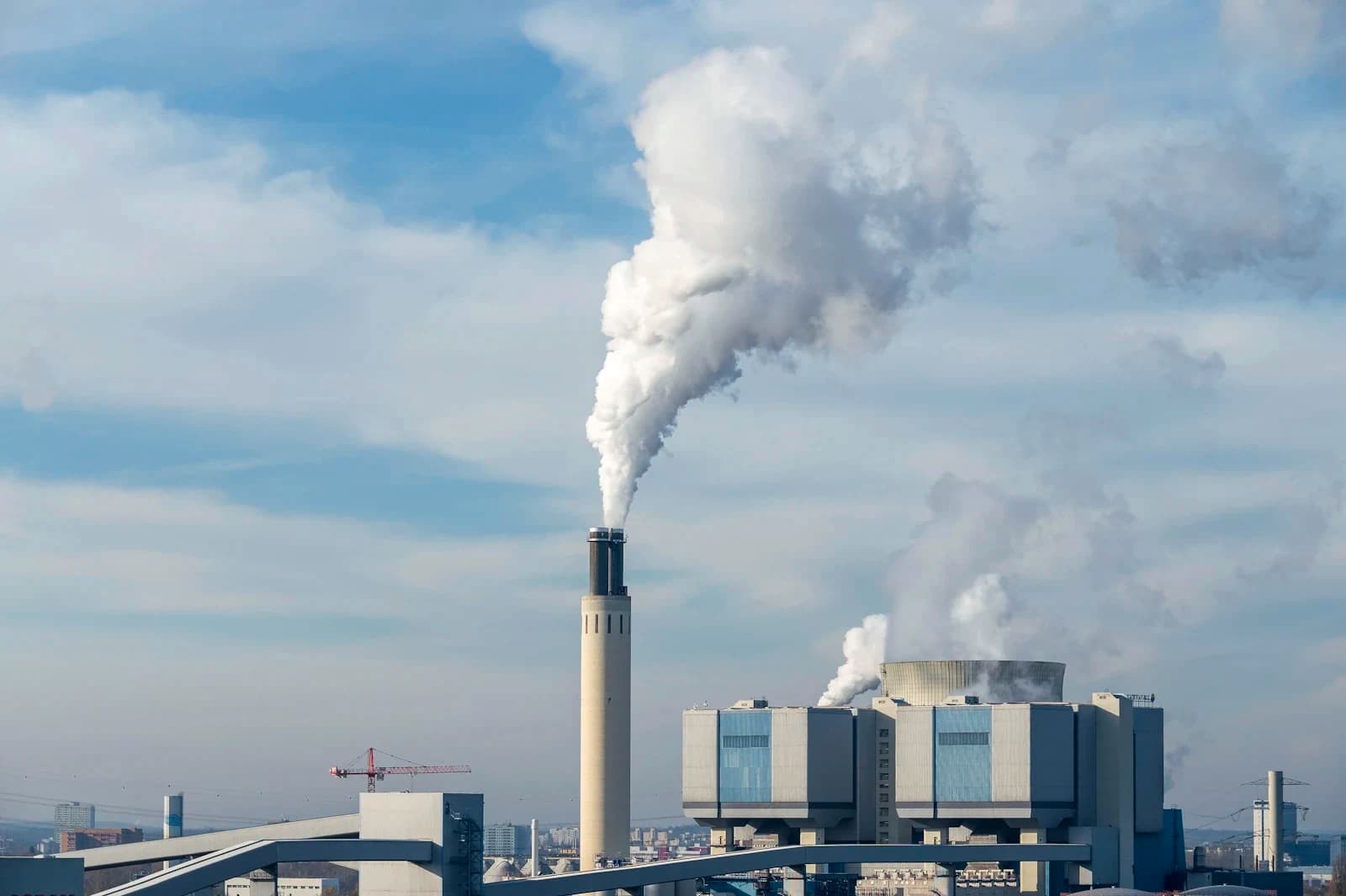 BBA Petroleum and Energy Management — Bachelor at London School of Petroleum and Energy