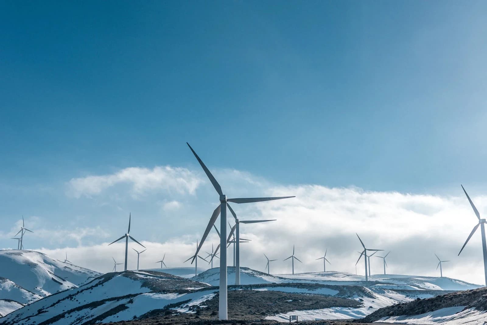 BSc in Energy Data Analytics — Bachelor at London School of Petroleum and Energy