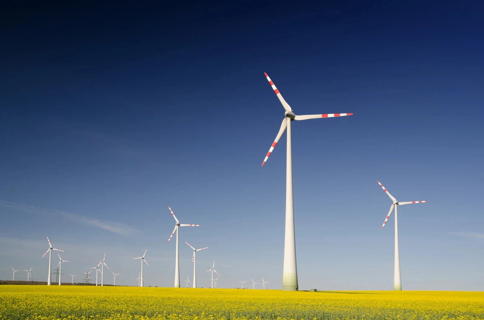 BSc in Hydrogen Energy Management — Bachelor at London School of Petroleum and Energy