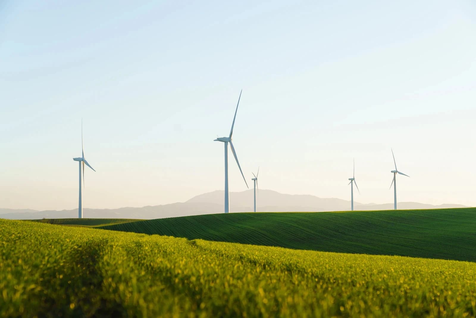 Certificate in Energy Policy Introduction — Certificate at London School of Petroleum and Energy