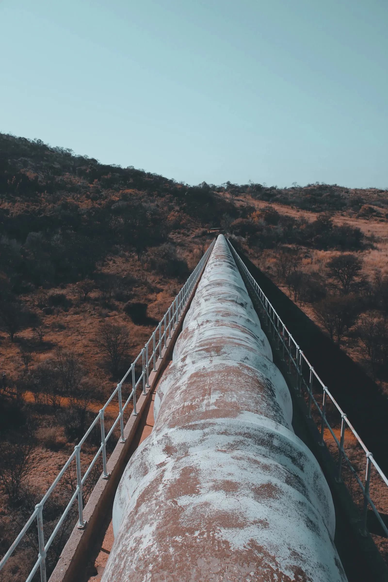 Certificate in Petroleum Industry Structure — Certificate at London School of Petroleum and Energy