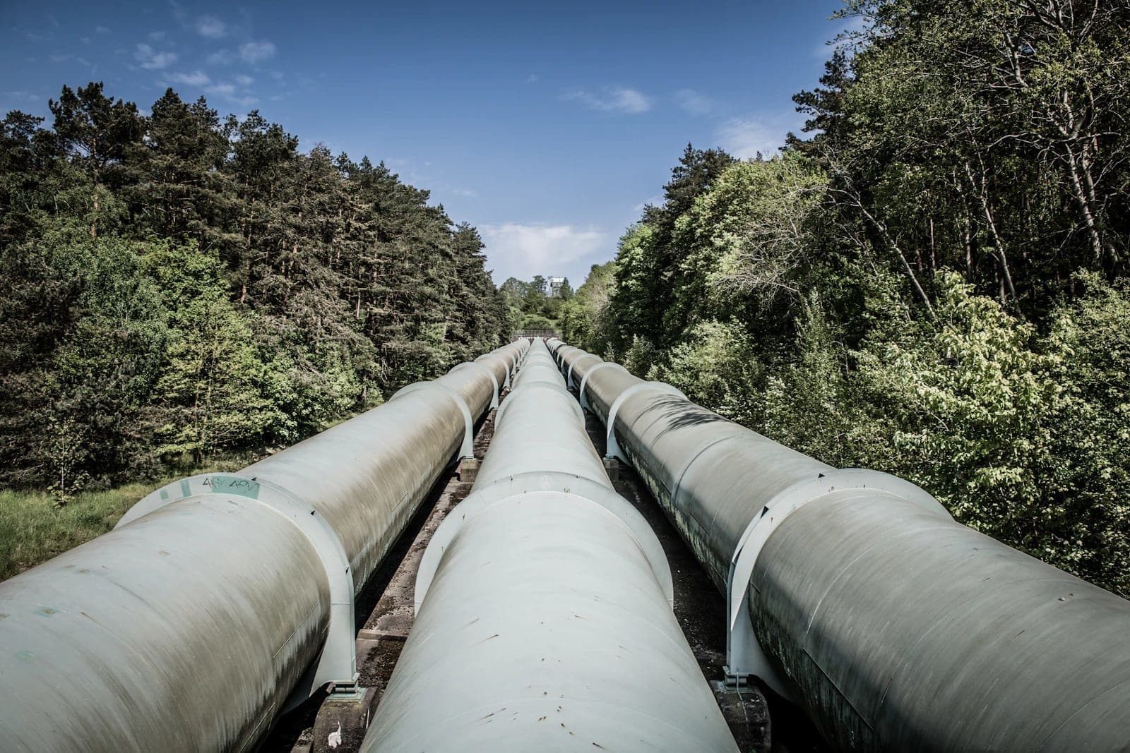 MSc Energy Policy and Governance — Master at London School of Petroleum and Energy