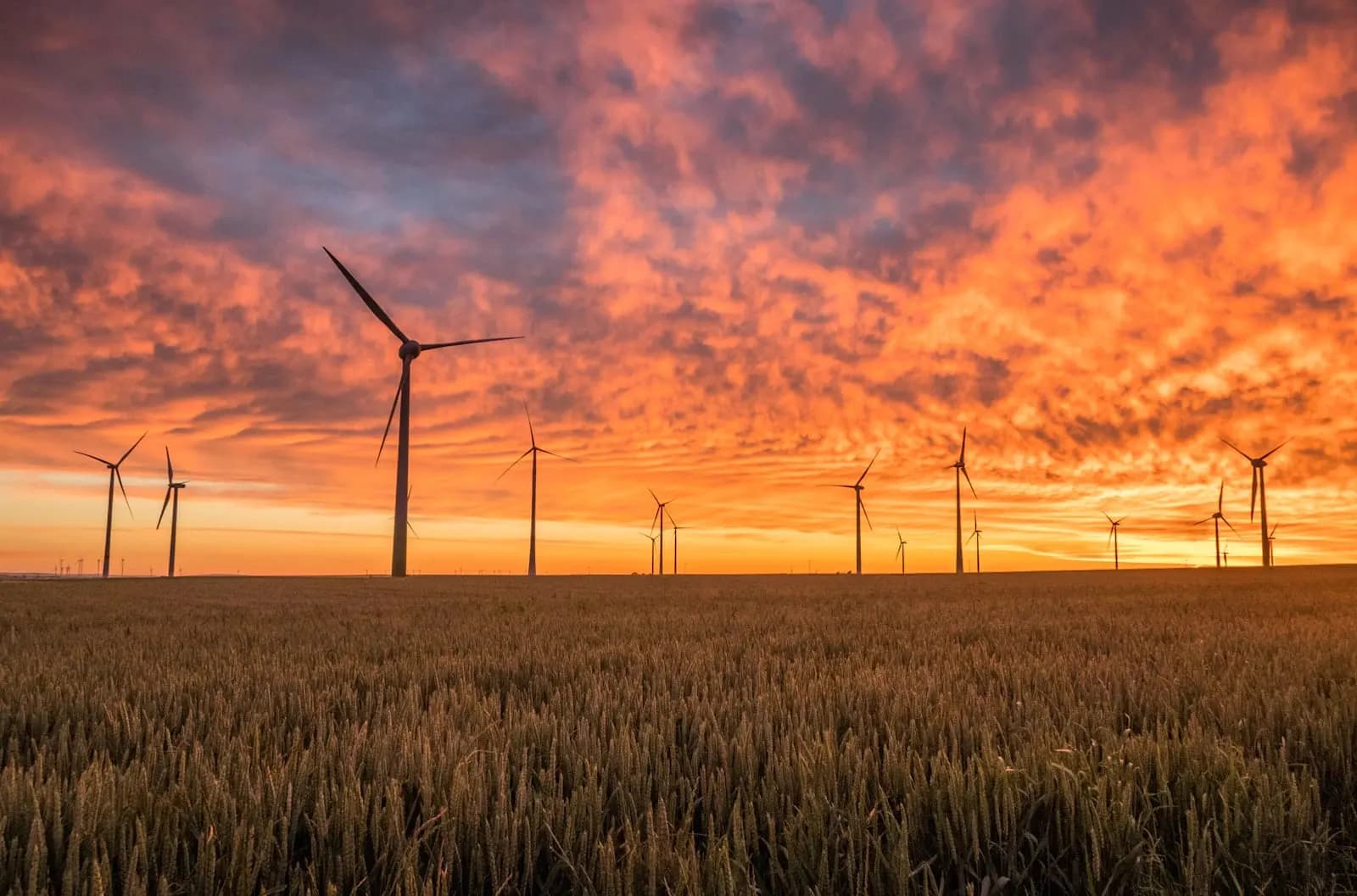 MSc in Energy Leadership and Governance — Master at London School of Petroleum and Energy