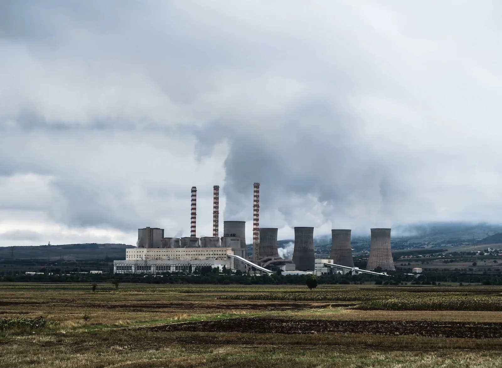MSc Renewable Energy Management — Master at London School of Petroleum and Energy