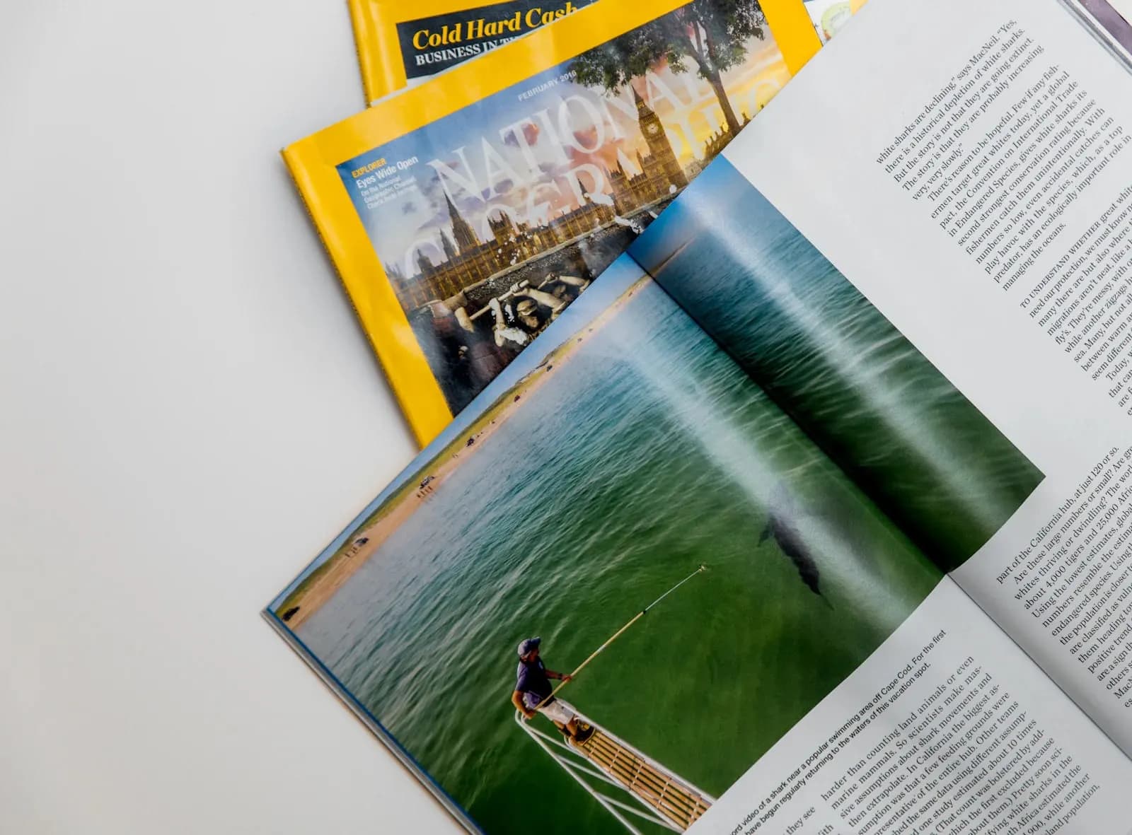 Higher Diploma in Tourism Industry Innovation — Higher Diploma at London School of Tourism & International Travel Management
